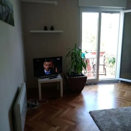 Five Minutes From City Center Apartment *